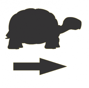 A silhouette of a turtle and a arrow<br><br>Description automatically generated with low confidence