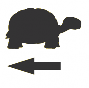 A silhouette of a turtle and a arrow<br><br>Description automatically generated with medium confidence